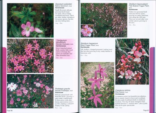 Find That Flower Colour:  Guide to the Wildflowers of the Cape to Cape Track and Australia's Southwest Corner (Revised Third Edition) - Image 3