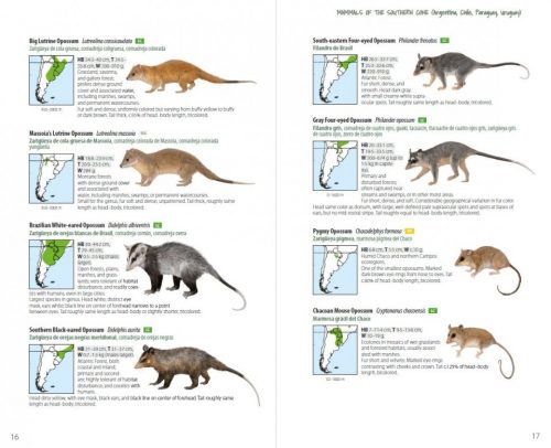 Mammals of the Southern Cone:  Argentina, Chile, Paraguay, Uruguay - Image 8