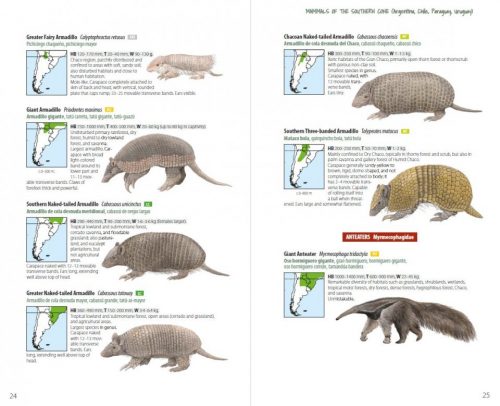 Mammals of the Southern Cone:  Argentina, Chile, Paraguay, Uruguay - Image 7