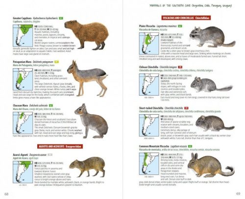 Mammals of the Southern Cone:  Argentina, Chile, Paraguay, Uruguay - Image 6