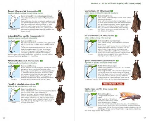 Mammals of the Southern Cone:  Argentina, Chile, Paraguay, Uruguay - Image 5