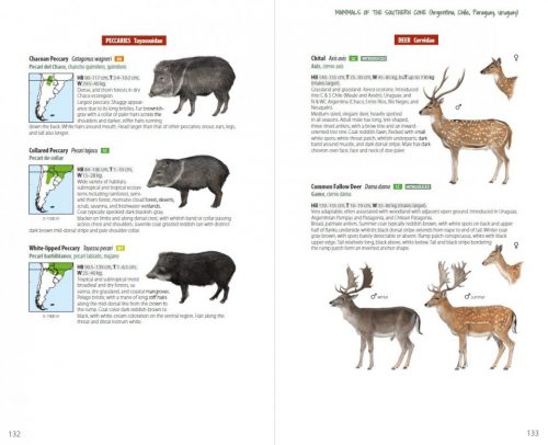 Mammals of the Southern Cone:  Argentina, Chile, Paraguay, Uruguay - Image 3