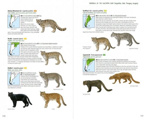 Mammals of the Southern Cone:  Argentina, Chile, Paraguay, Uruguay - Image 2