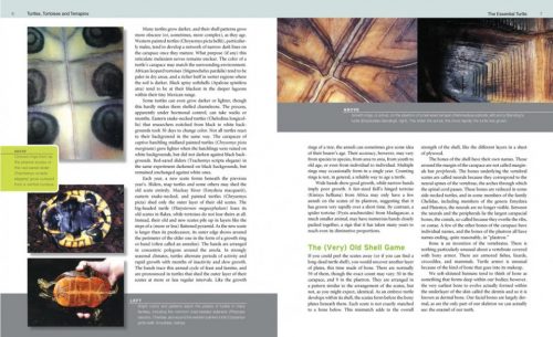 Turtles, Tortoises and Terrapins:   A Natural History (Second Edition) - Image 4