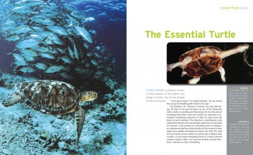 Turtles, Tortoises and Terrapins:   A Natural History (Second Edition) - Image 3