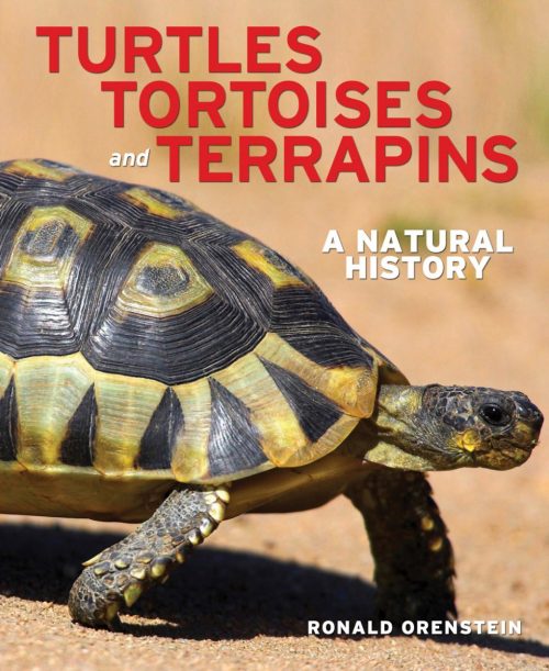 Turtles, Tortoises and Terrapins:   A Natural History (Second Edition)