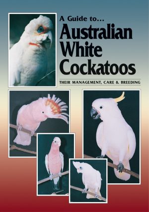 A Guide to Australian White Cockatoos:  Their Management, Care and Breeding