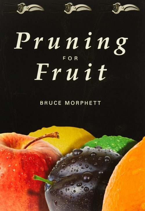 Pruning for Fruit