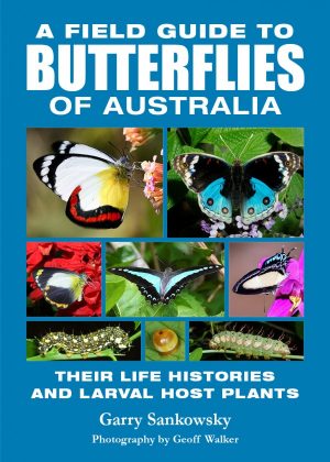 A Field Guide to Butterflies of Australia: Their Life Histories and Larval Host Plants