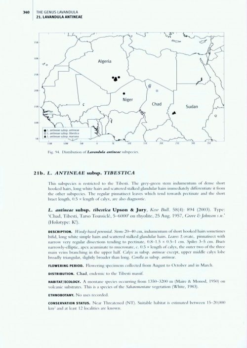 The Genus Lavandula - Image 5