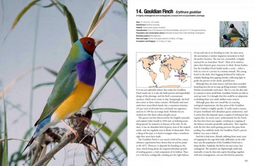 100 Birds to See in Your Lifetime: The Ultimate Wish-List for Birders Everywhere - Image 6