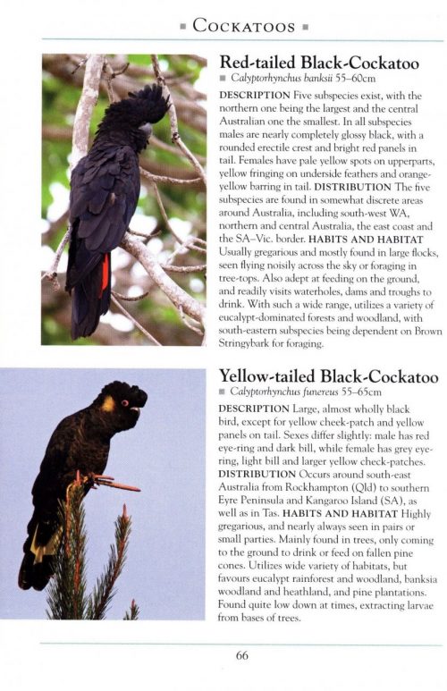 A Naturalist's Guide to the Birds of Australia (Third Edition) - Image 5