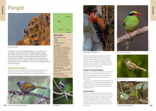 The 100 Best Birdwatching Sites in India - Image 3