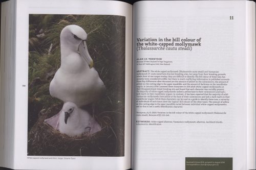 Lost Gold: Ornithology of the Subantarctic Auckland Islands - Image 3
