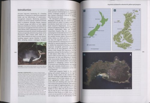 Lost Gold: Ornithology of the Subantarctic Auckland Islands - Image 4