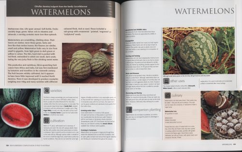 Complete Book of Fruit in Australia:  The Definitive Sourcebook for Growing, Harvesting and Cooking - Image 3