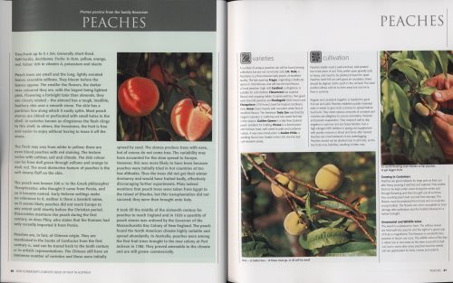 Complete Book of Fruit in Australia:  The Definitive Sourcebook for Growing, Harvesting and Cooking - Image 2