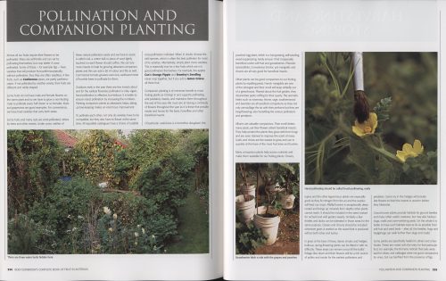 Complete Book of Fruit in Australia:  The Definitive Sourcebook for Growing, Harvesting and Cooking - Image 4