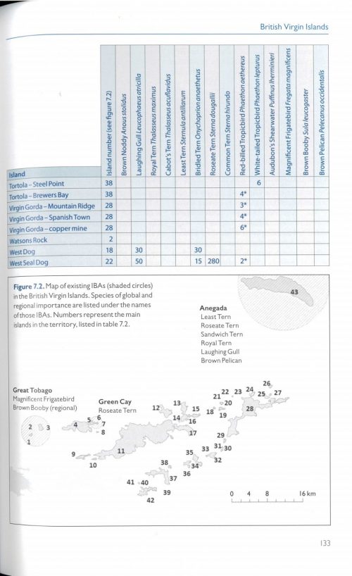 Birds of the UK Overseas Territories (Paperback) - Image 4