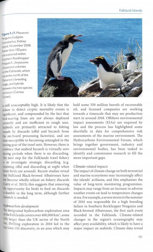 Birds of the UK Overseas Territories (Paperback) - Image 3