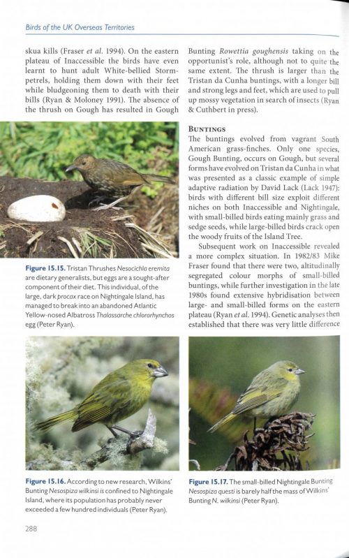 Birds of the UK Overseas Territories (Paperback) - Image 2