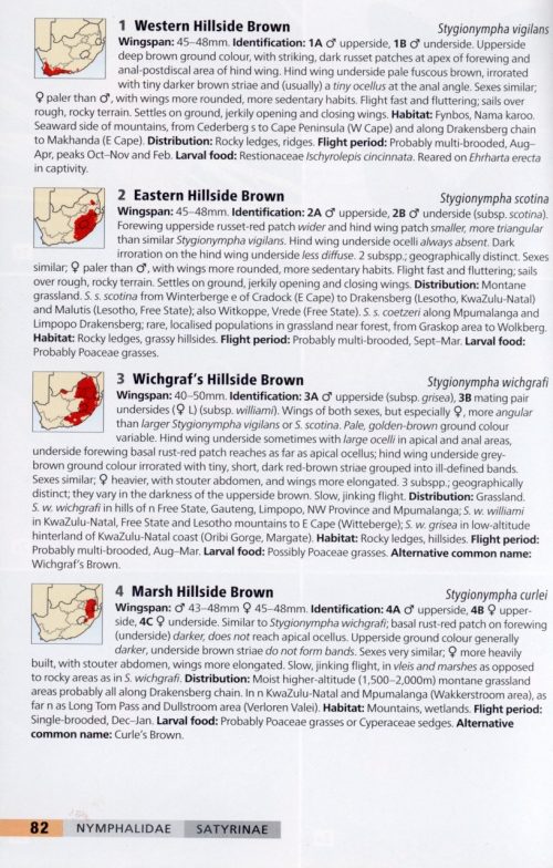 Field Guide to Butterflies of South Africa (Second Edition) - Image 6