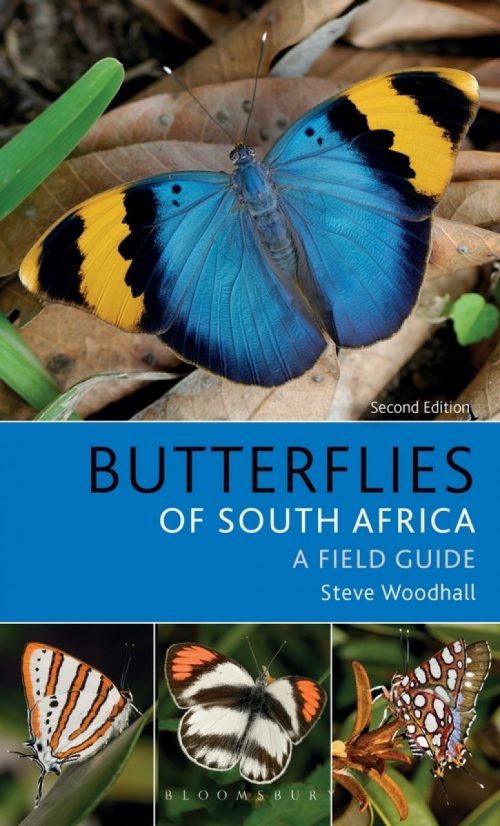 Field Guide to Butterflies of South Africa (Second Edition)