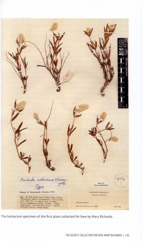 Modern Plant Hunters:  Adventures in Pursuit of Extraordinary Plants - Image 6