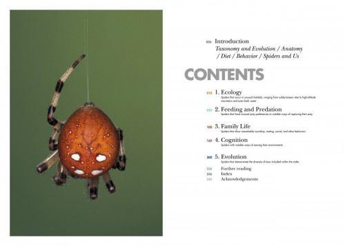 Spiders of the World: A Natural History - Image 2