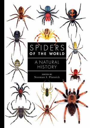 Spiders of the World: A Natural History