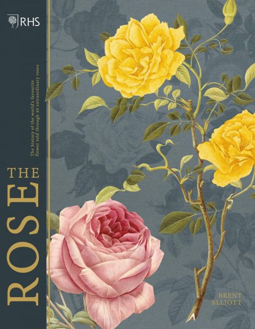 The Rose:  The History of the World's Favourite Flower in 40 Roses