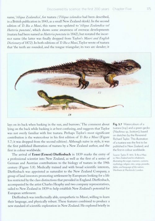 Tuatara: Biology and Conservation of a Venerable Survivor - Image 3