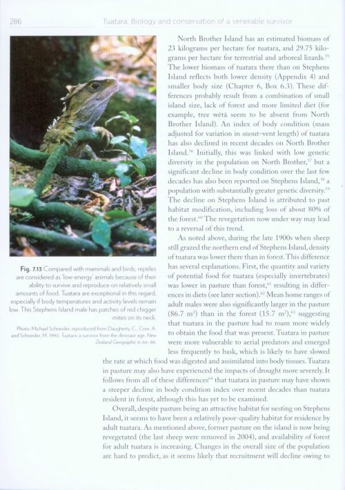 Tuatara: Biology and Conservation of a Venerable Survivor - Image 4