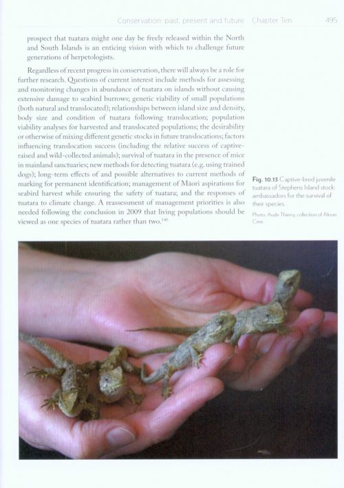 Tuatara: Biology and Conservation of a Venerable Survivor - Image 5