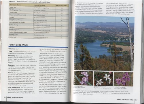 Black Mountain: A Natural History of a Canberra Icon - Image 4