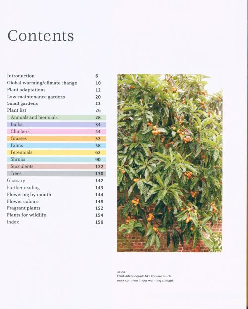 Gardening with Drought-Friendly Plants - Image 4