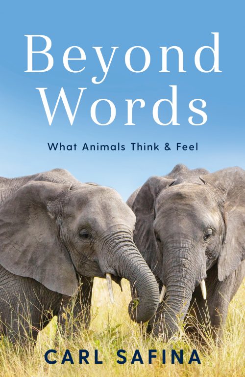 Beyond Words:  What Animals Think & Feel