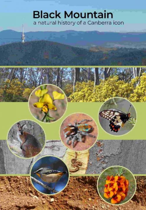 Black Mountain: A Natural History of a Canberra Icon