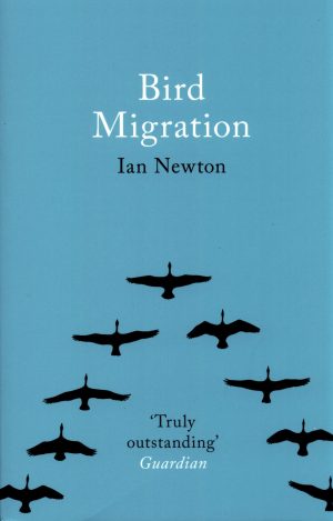 Bird Migration