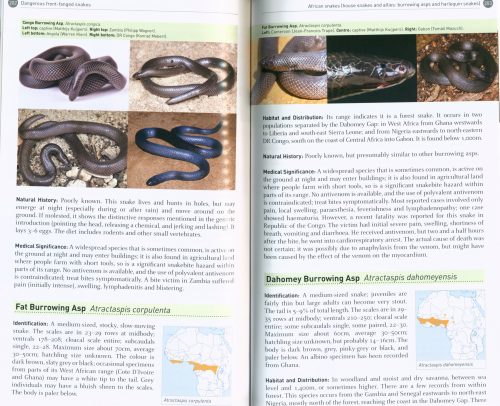 The Dangerous Snakes of Africa - Image 3
