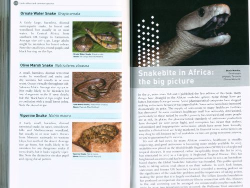 The Dangerous Snakes of Africa - Image 4
