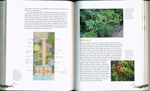 Organic:  Don Burke's Guide to Growing Organic Food for your Family (Revised Second Edition) - Image 4