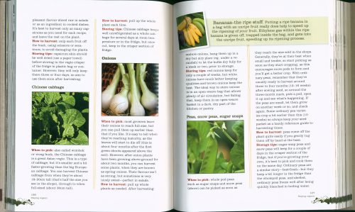 Organic:  Don Burke's Guide to Growing Organic Food for your Family (Revised Second Edition) - Image 2