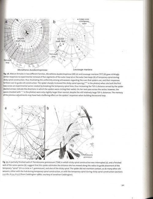 Spider Webs:  Behavior, Function, and Evolution - Image 3