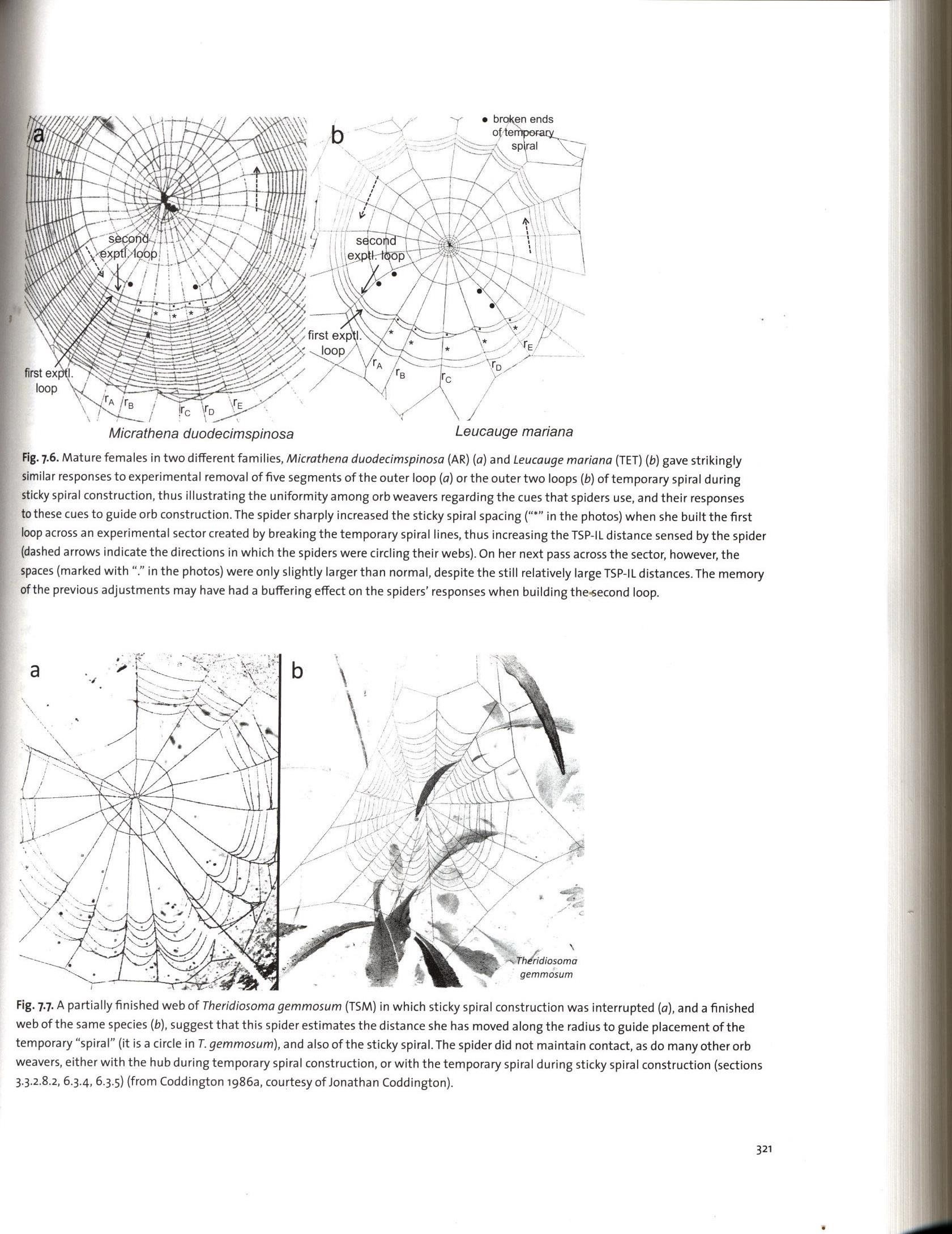 Spider Webs: Behavior, Function, and Evolution, Eberhard