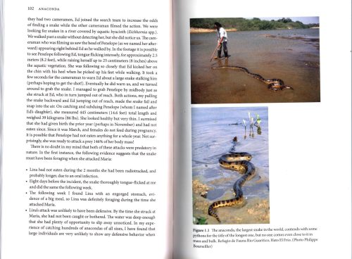 Anaconda: The Secret Life of the World's Largest Snake - Image 2