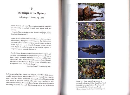 Anaconda: The Secret Life of the World's Largest Snake - Image 3
