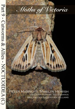 Moths of Victoria: Part Nine, Cutworms and Allies, Noctuoidea (C)