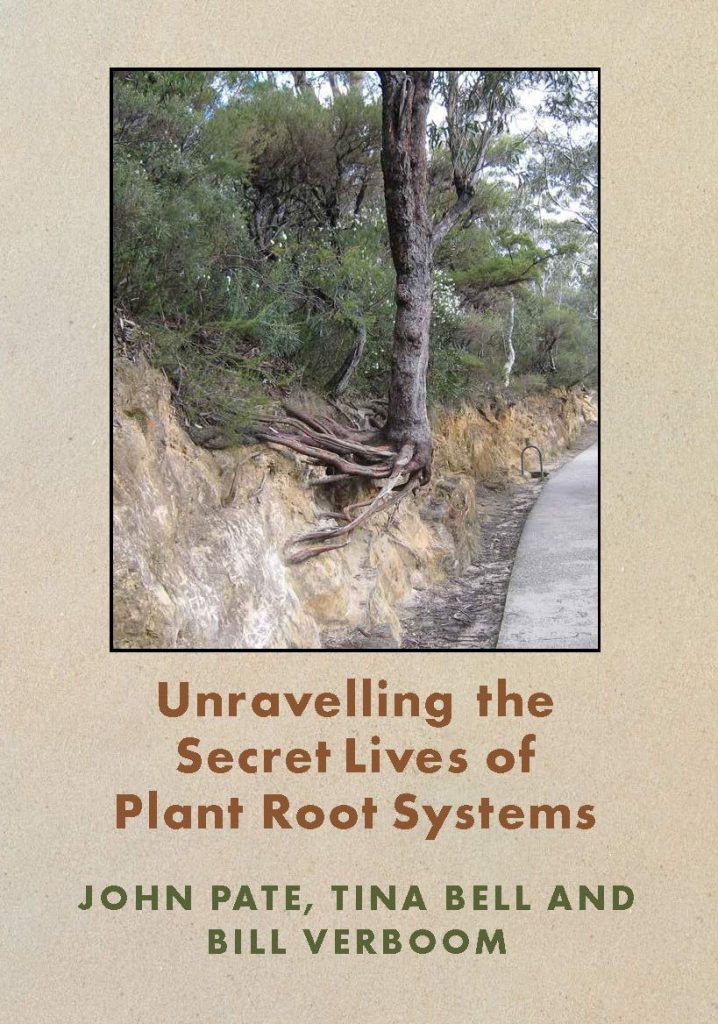 Unveiled Roots Unravelling the Secret Lives of Plant Root Systems - Nokomis