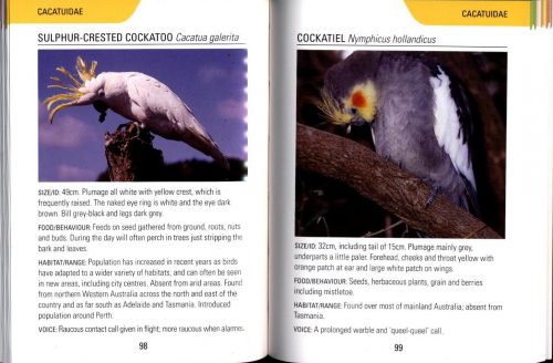 Reed Concise Guide:  Birds of Australia - Image 5